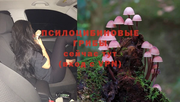 не бодяженный Беломорск