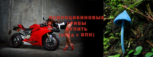не бодяженный Беломорск