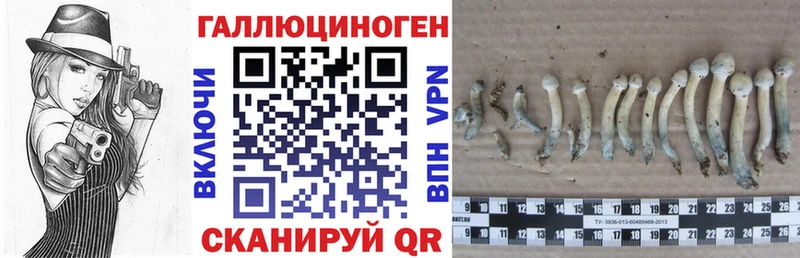 hydra как войти  Бородино  Галлюциногенные грибы мухоморы 